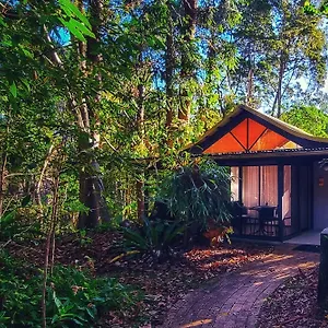 Курортный комплекс Rainforest, Байрон-Бей